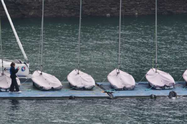 23 April 2022 - 09-44-17 (1)

----------------------
Seals on RDYC Kingswear dinghy pontoon